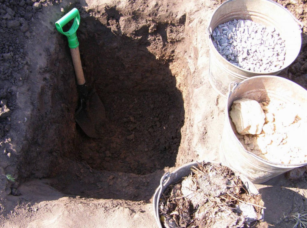 как правильно подготовить яму для посадки винограда