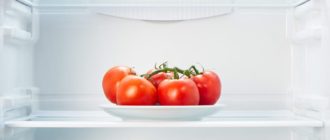 tomato holodilnik