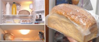 hleb holodilnik