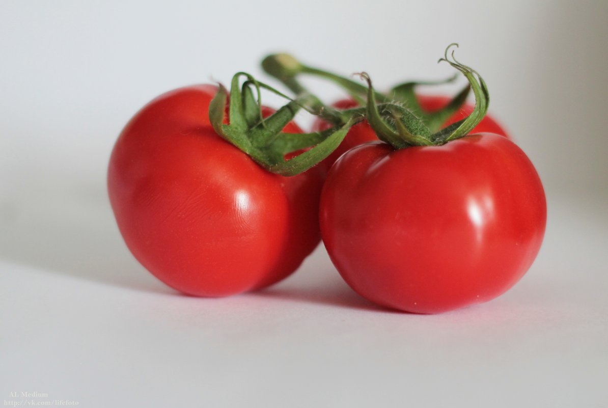 pomidori3