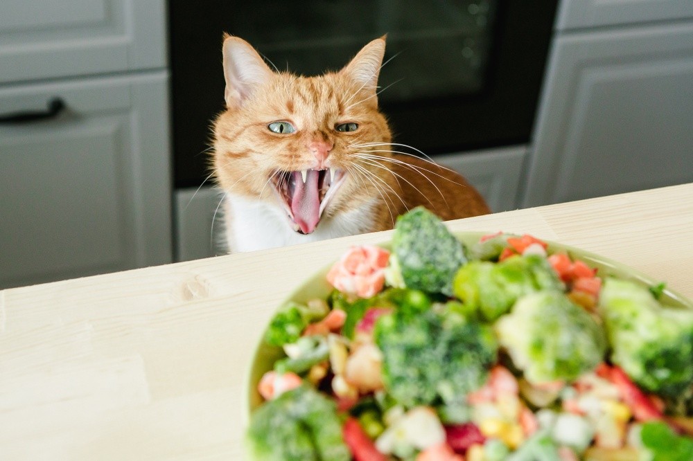 Кот и овощи