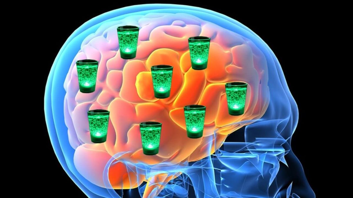 Алкоголь и мозг