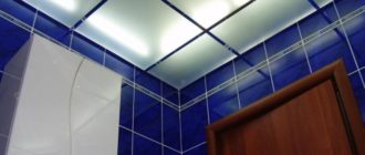 Виды потолка в ванных комнатах
