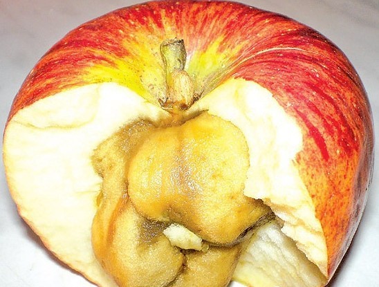 Пухлость яблока