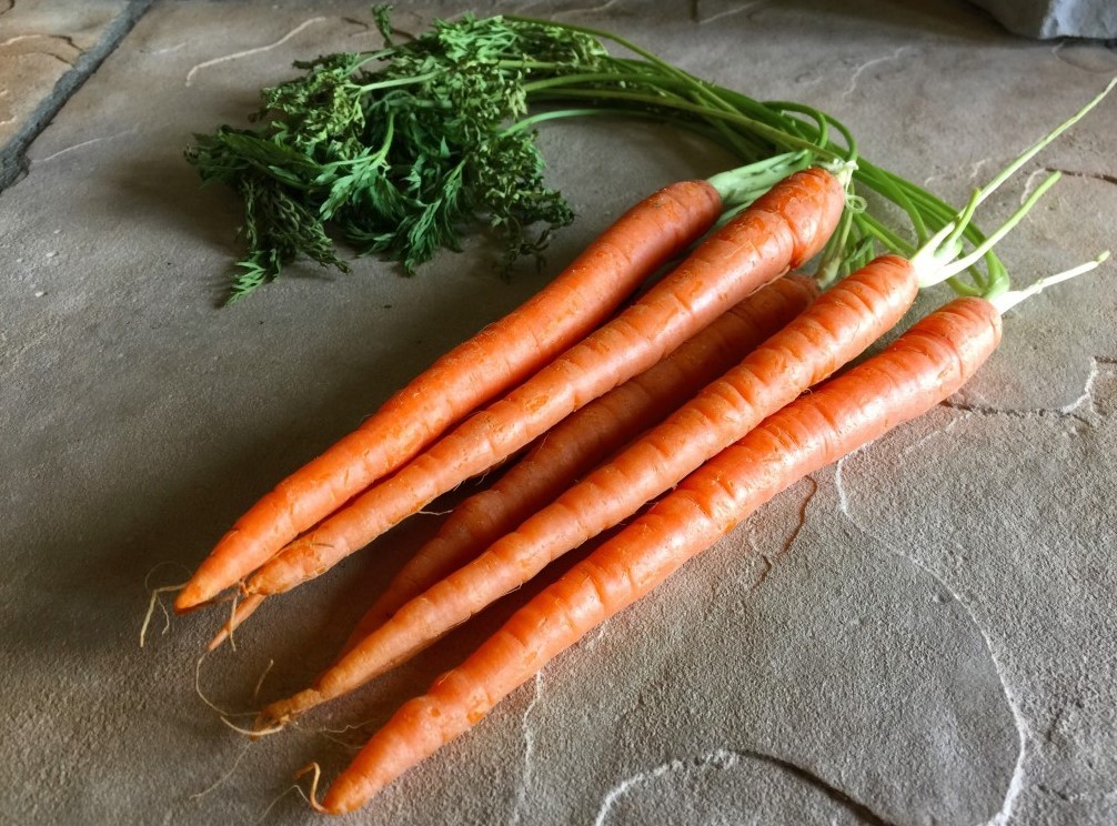 Тонкая морковь