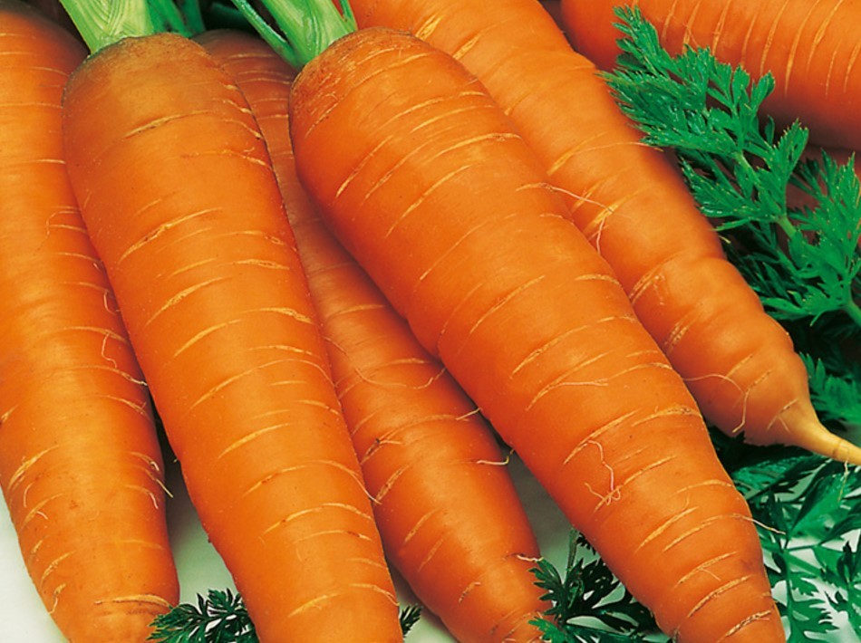 Нормальная морковь