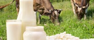 Сливки из коровьего молока